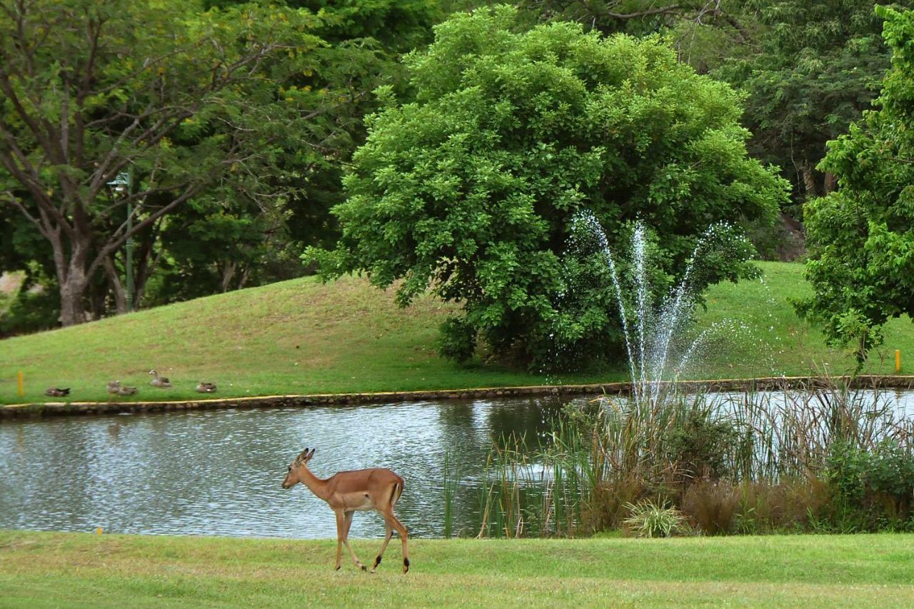 Kruger Park Lodge Unit No. 543 เฮซีวิว ภายนอก รูปภาพ