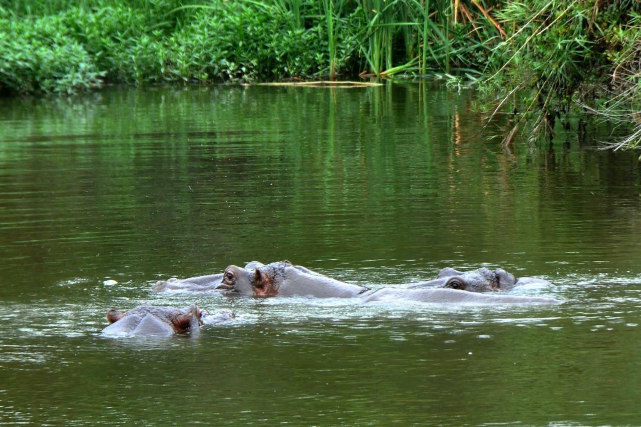 Kruger Park Lodge Unit No. 543 เฮซีวิว ภายนอก รูปภาพ