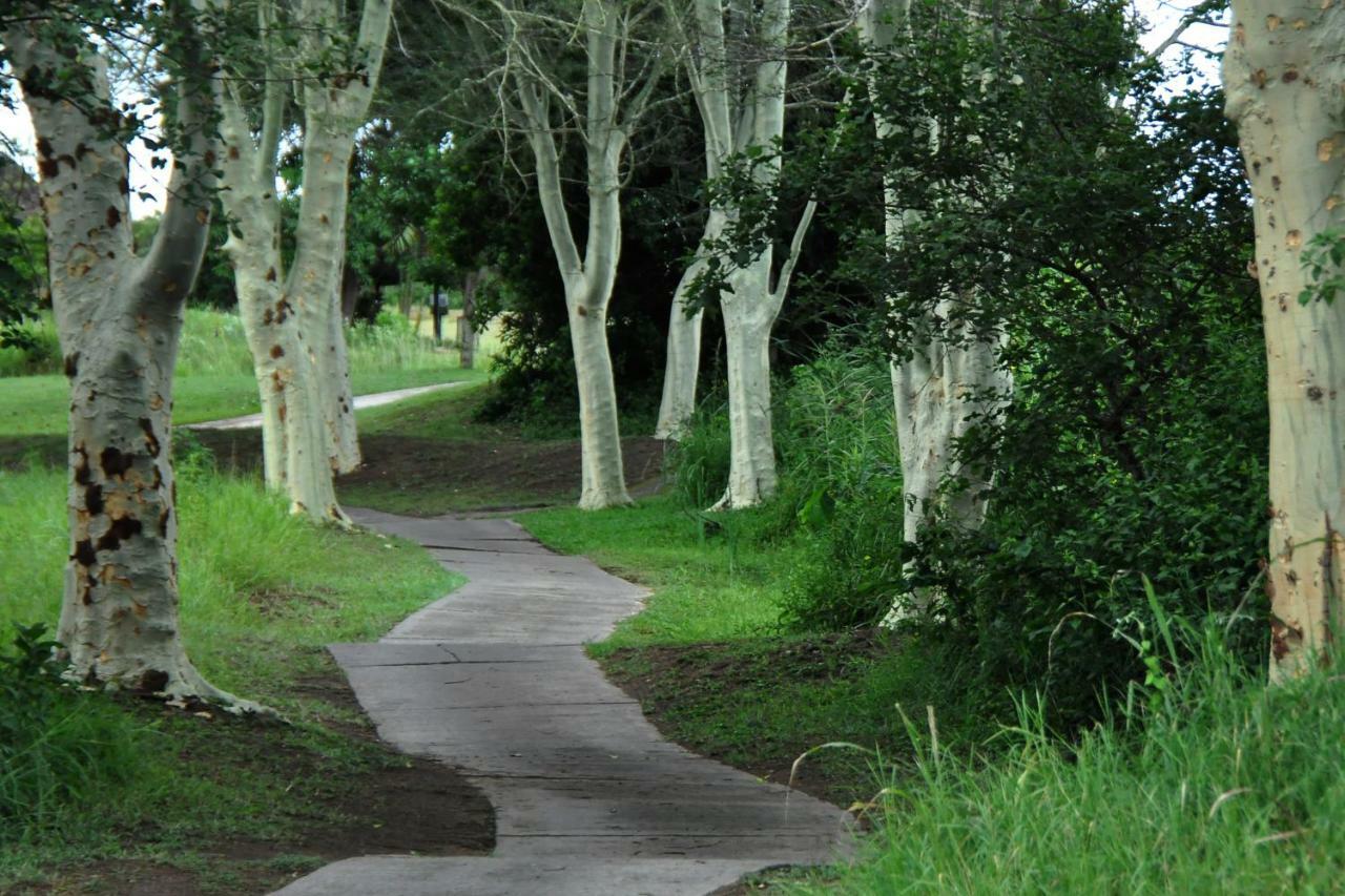 Kruger Park Lodge Unit No. 543 เฮซีวิว ภายนอก รูปภาพ